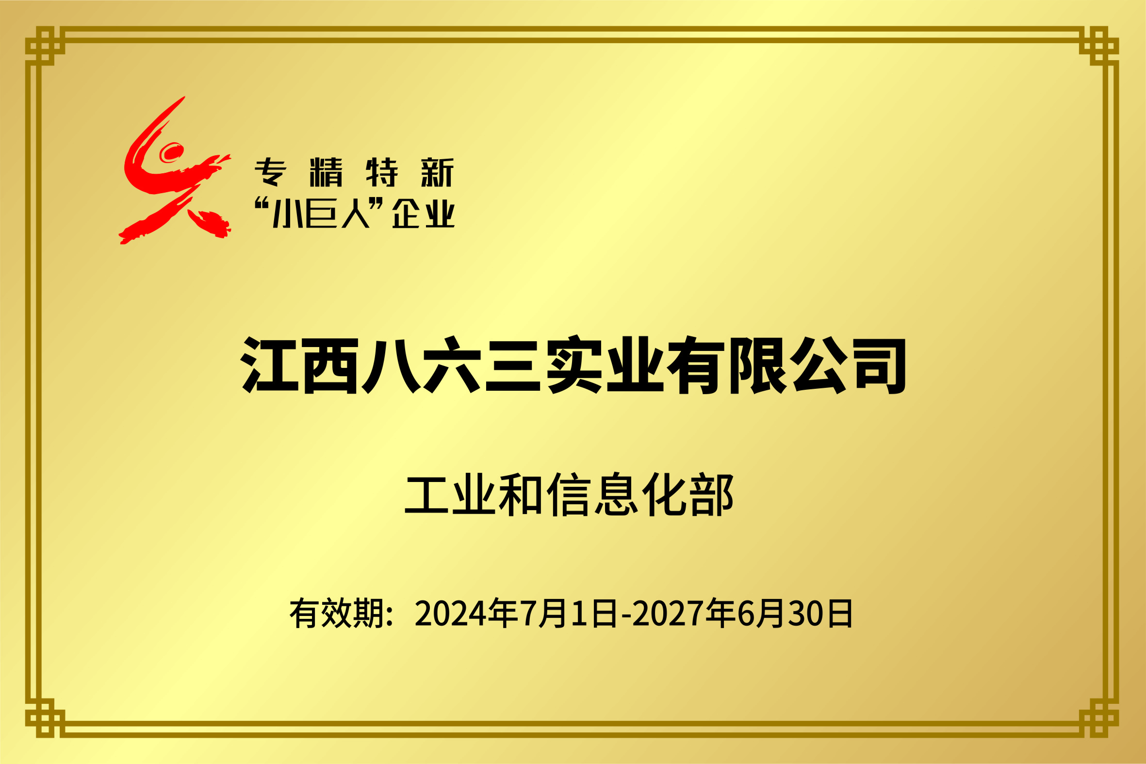 國家專精特新小巨人企業2024-2027